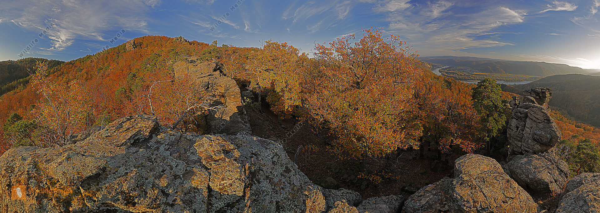 Wachau im Herbst Panorama