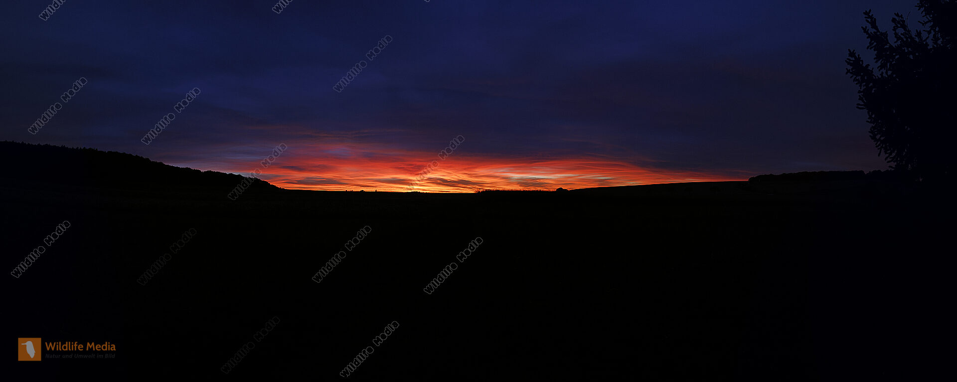Abendhimmel Panorama