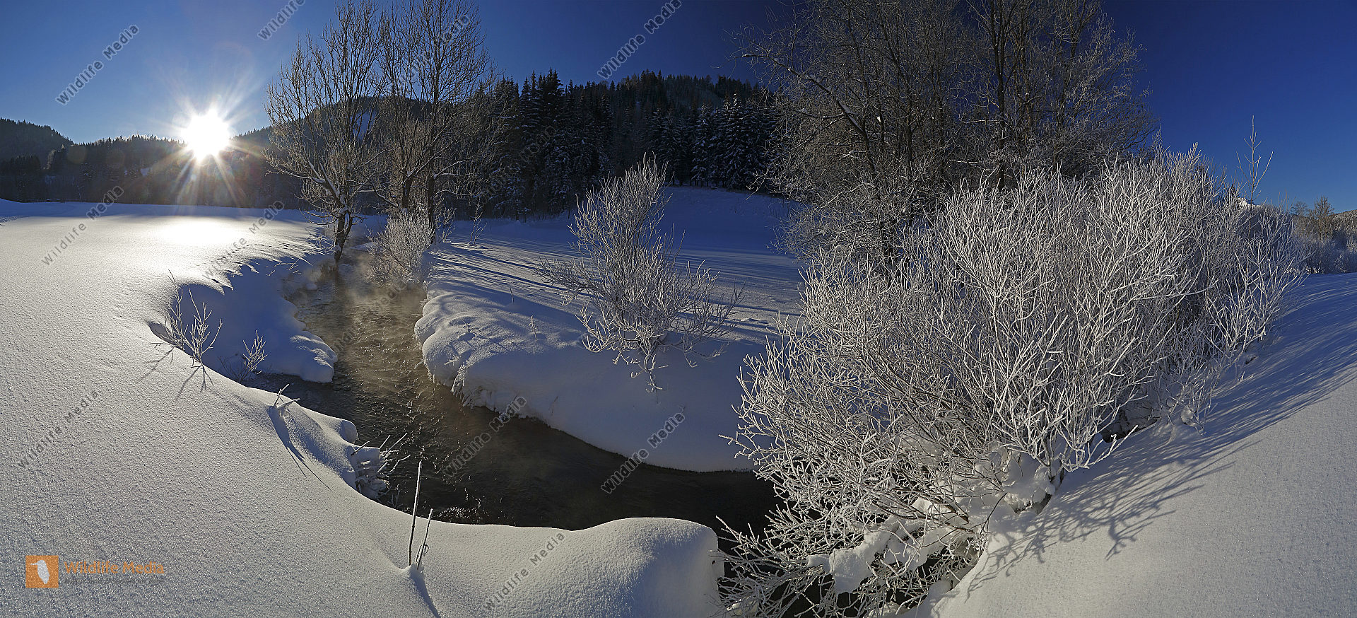 Waldbach im Winter Panorama