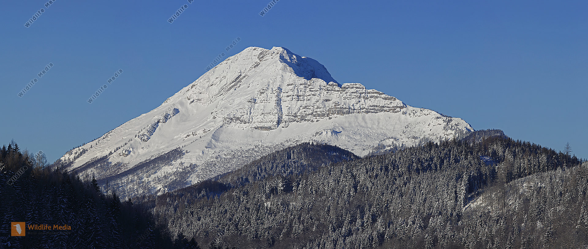 Ötscher im Winter Panorama