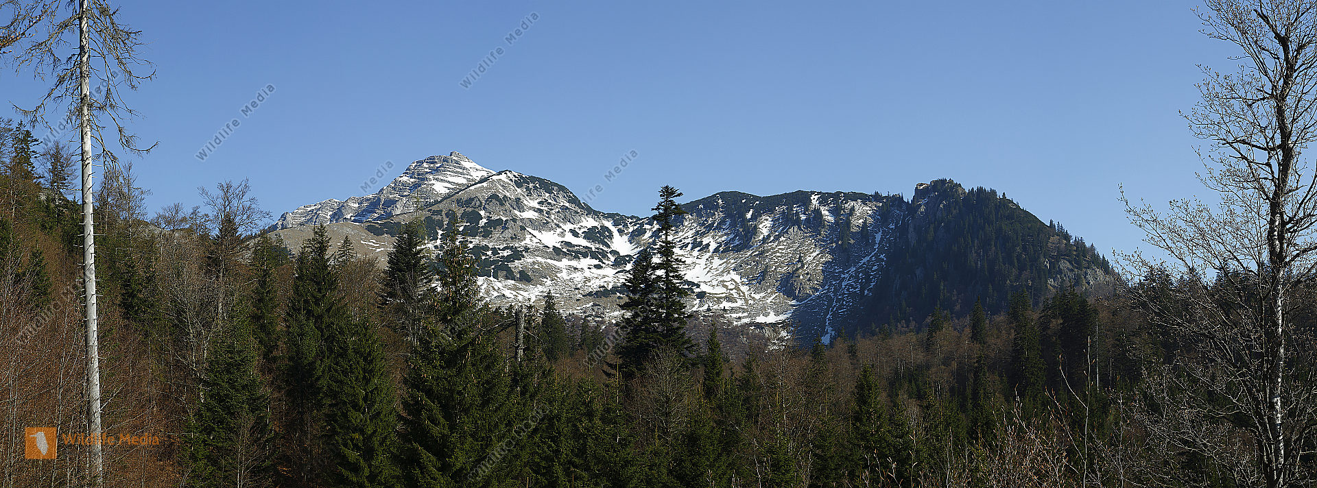 Dürrenstein Panorama