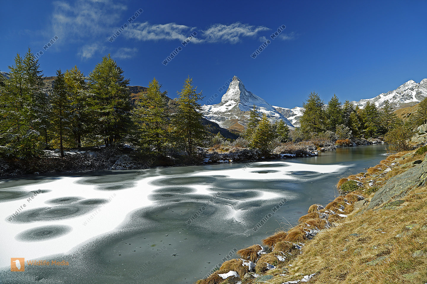 Grindjiisee mit Matterhorn