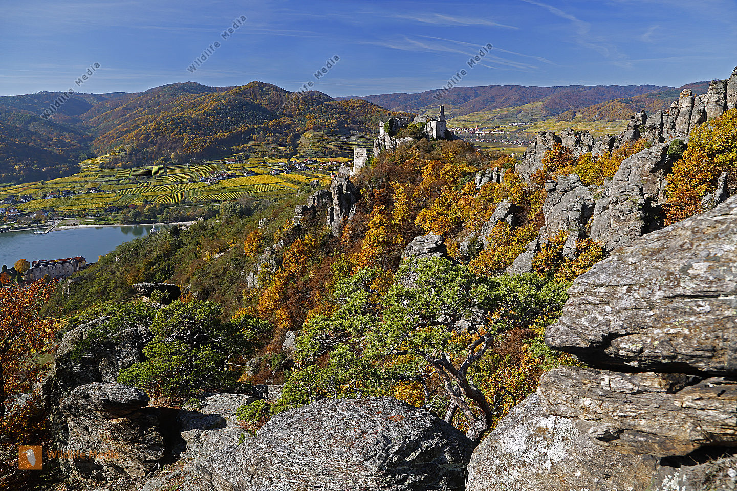 Burgruine Dürnstein im Herbst