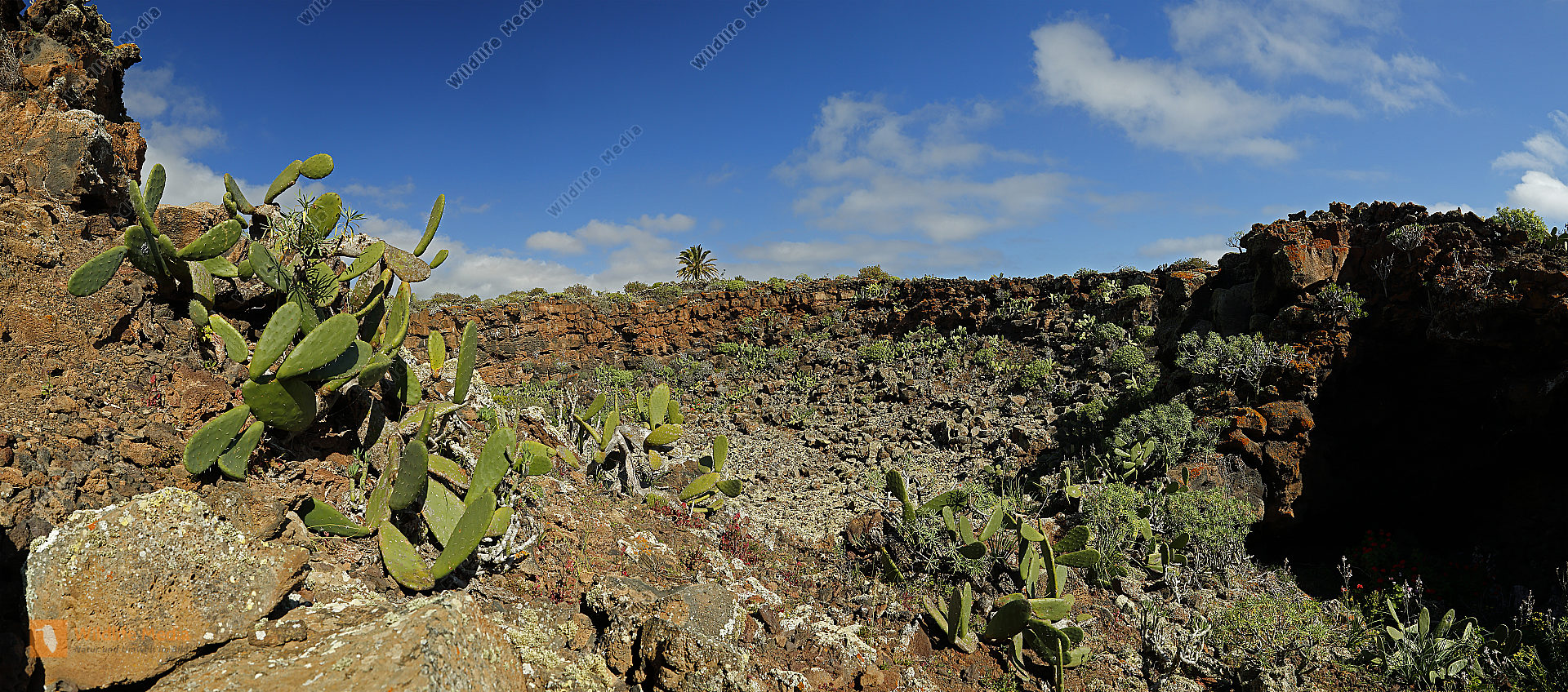 Lanzarote Landschaft Panorama