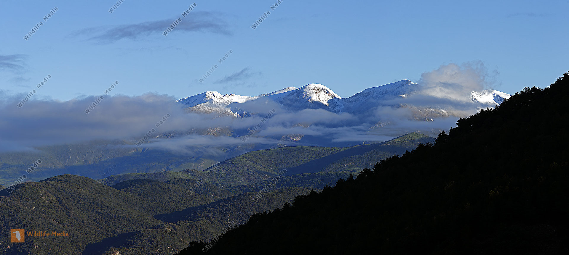 Pyrenäen Panorama