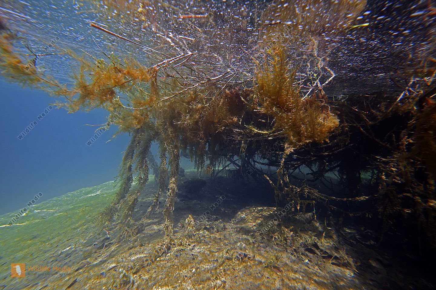 Unterwasser