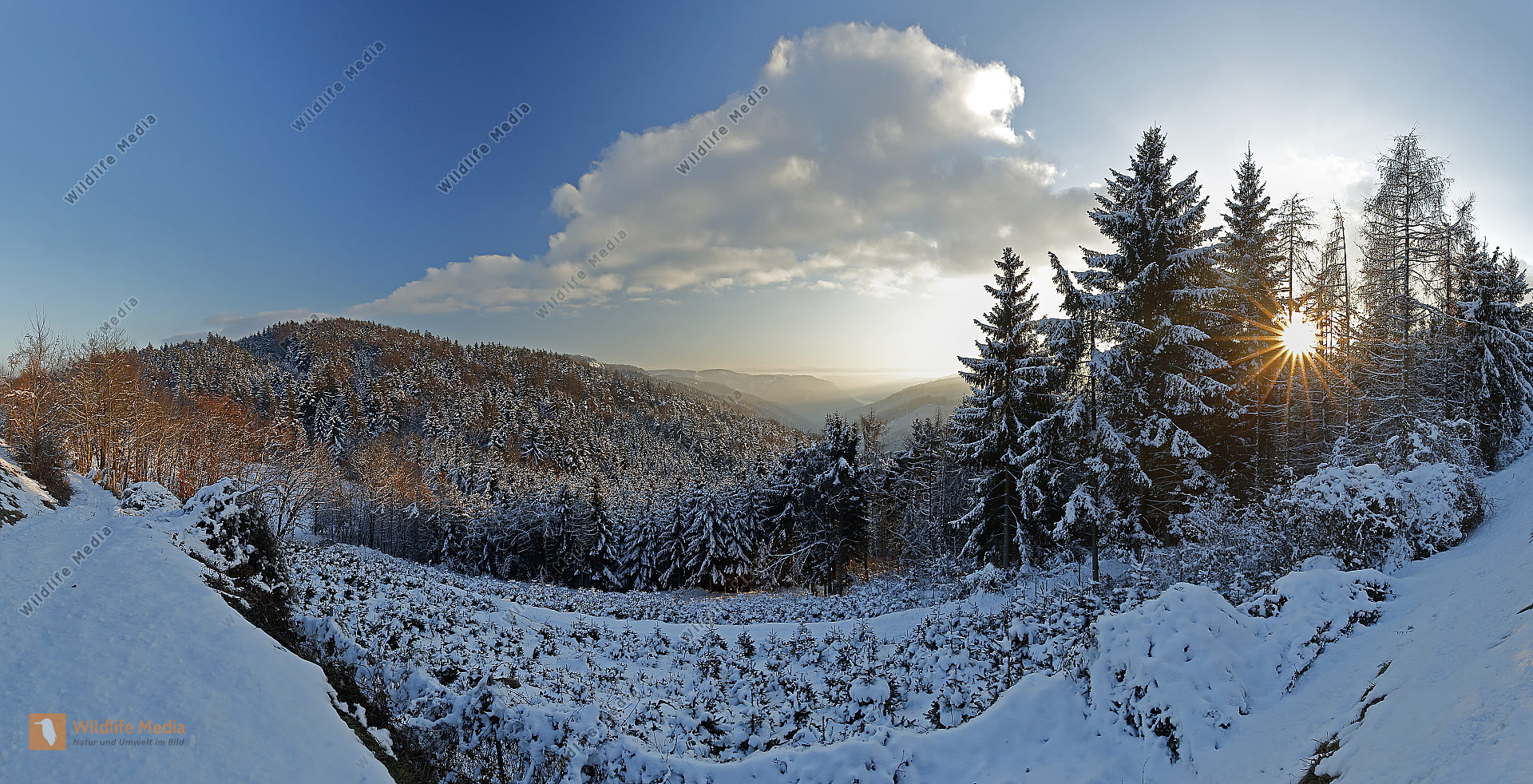Wachau im Winter Panorama