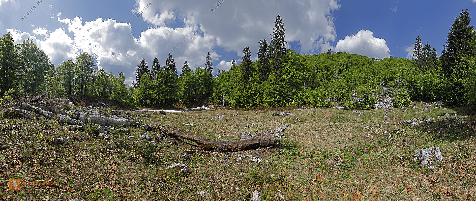 Kleine Bärwies Panorama