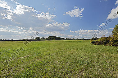 Pischelsdorfer Fischawiesen