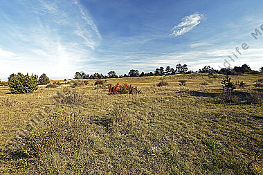 Sandberge Oberweiden