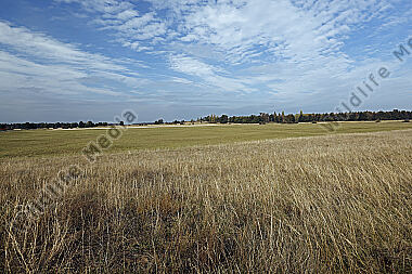 Sandberge Oberweiden