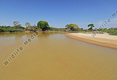 Pantanal Landschaft