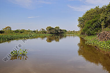 Pantanal Landschaft