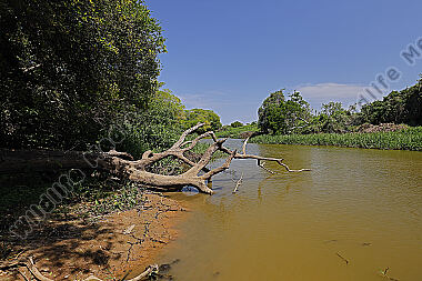 Pantanal Landschaft