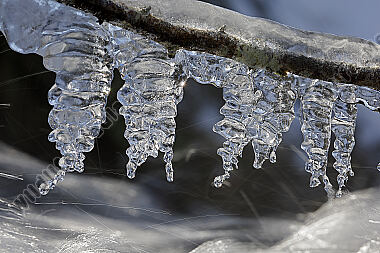 Eiszapfen im Gegenlicht