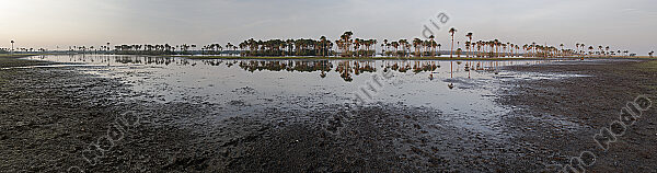 Savannen-Feuchtgebiet Llanos Panorama