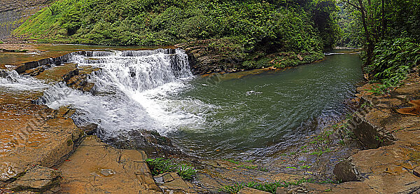 Wasserfall-Regenwaldbach Panorama