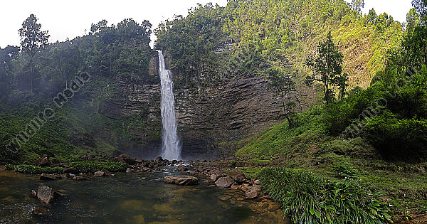 Regenwald Wasserfall Panorama