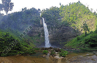 Regenwald Wasserfall Panorama