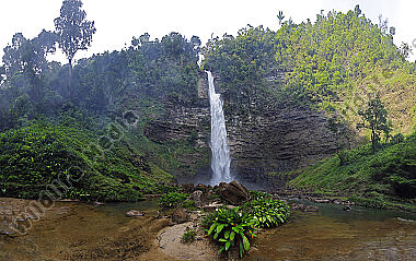 Regenwald Wasserfall Panorama