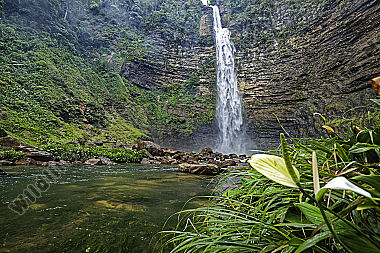 Wasserfall Regenwald