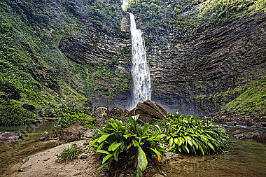 Wasserfall Regenwald