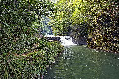 Regenwaldbach in Kolumbien