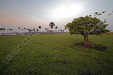 Savannen-Feuchtgebiet Llanos