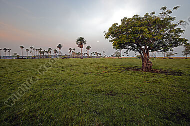 Savannen-Feuchtgebiet Llanos