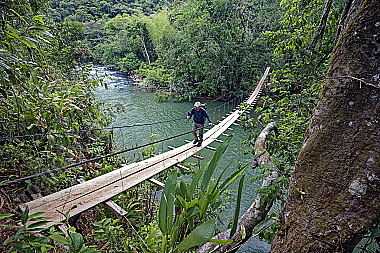 Hängebrücke durch den Regenwald