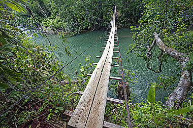 Hängebrücke durch den Regenwald