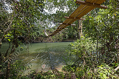 Hängebrücke durch den Regenwald