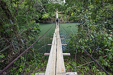 Hängebrücke durch den Regenwald