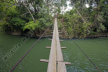 Hängebrücke durch den Regenwald