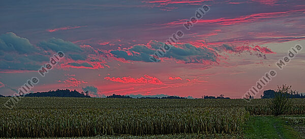 Sonnenuntergang Abendrot Panorama